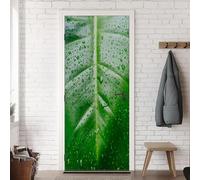Tizhweqo Adesivi per Porte Interne Foglie Verdi Adesivo Porta 3D Foglie Verdi Murale Decorazione da Parete Poster per Soggiorno Camera da Letto Autoadesiva Carta da Parati 80x200 4475a