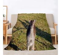 Tizhweqo Coperta Pile Blanket 130x150 cm, Plaid Pile Cervo Sika Cervo 3D Coperta Divano Calda, Ultra Morbida, Coperte Flanella 130 x 150 cm per Letto Singolo 3577p