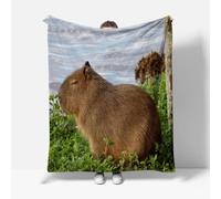 Tizhweqo Coperta Pile Blanket 180x200 cm, Plaid Pile Capibara Capibara 3D Coperta Divano Calda, Ultra Morbida, Coperte Flanella 180 x 200 cm per Letto Matrimoniale 1951t