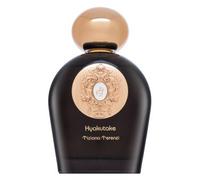 Tiziana Terenzi Hyakutake Extrait de Parfum 100 ml