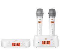 TJ Taijin Media TMW-100 Wireless Microphone System 2 Mic Set Corea