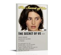 TJLTXV Gracie Abrams - Poster artistico impermeabile ad alta definizione per cucina, bagno, dormitorio, senza foratura, facile da installare, decorazione multi scena, 20 x 30 cm, stile cornice