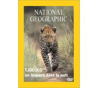 Tjololo, un leopard dans la nuit