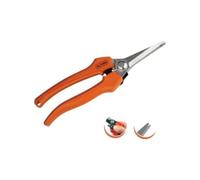 TJRA VENDIMIA RECOLECCION 1261 BLISTER