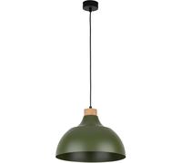 TK Lighting Cap lampada sospesa 1x15 W verde-legno 5665