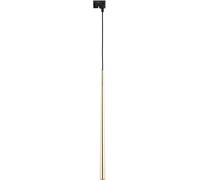 TK Lighting Tracer lampada per binario elettrificato 1x6 W oro 5750