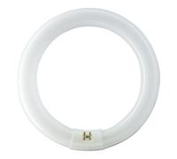 Philips Lighting Tubo Fluorescente Circular 40W TRIFOSFORO 840K Philips Ø 40CM 40 W, Multicolour, 1 Unità (Confezione da 1)