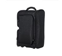 TMMLIJIPL Valigia scatola di immagazzinaggio trucco viaggio trolley borsa trucco tatuaggio borsa ruota scatola di immagazzinaggio bellezza chiodo strumento kit valigia (colore: nero, dimensioni: 320 x