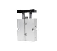 TN/20/25/32 5-200 corsa Cilindro a doppio stelo con magnete(10mm Stroke,25mm Bore)