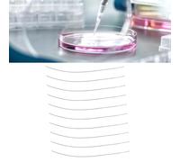 Tnfeeon Ago per Inoculazione Riutilizzabile, Strumenti per Striatura Cellulare in Acciaio Inossidabile per Esperimenti di Coltura di Tessuti Cellulari 10 PZ