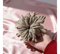 Tnfeeon Elastico per Capelli Morbido e Confortevole, Materiale in Tessuto Ad Alta elasticità, Elegante Fascia per Capelli per l'uso Quotidiano, Ideale per gli Amanti dei Viaggi e della Moda (Giallo