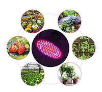 Tnfeeon Luci di Coltivazione per Piante da Interno, Lampadine a LED da 20 W per Serra con Chip Rosso Blu, Perfette per Lampade Normali e Giardinaggio Indoor