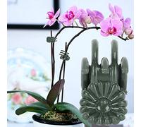 Tnfeeon Morsetti di Supporto per Giardino da 100 Pezzi per Orchidee e Crisantemi con Due Dimensioni 1,0x0,5 e 0,7x0,5 Pollici per Serra da Cortile, Facile Fissaggio dello Stelo Senza Danni (#2)