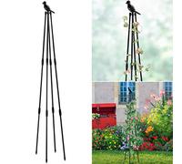 Tnfeeon Obelisco da Giardino, Torre di Supporto per Vite Vegetale Regolabile, Piante da Arrampicata Verticale per Uccelli Traliccio con 4 in Gioco in Metallo per Fagioli di Rosa di Rosa (1)