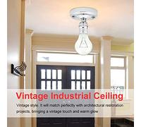 Tnfeeon Plafoniera Vintage, Portalampada Industriale in Bronzo, Presa a Sospensione retrò per l'illuminazione della Domestica (SILVER)