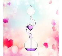 Tnfeeon Termometro a Mano Termometro Scientifico Educazione Alla Caldaia Giocattolo per la Decorazione della Casa Ornamento, un Unico Materiale di Vetro Borosilicato