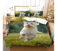 TNFHSOFT Set Di Biancheria Da Letto Per Bambini E Adulti Con Motivo 3BS,3 Pezzi, Copripiumino in Fibra Ultrafine Con Federa, Cerniera Nascosta, Single（140x200cm）