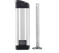 TNLi TEC Silverfish, batteria per bicicletta elettrica, 36 V, 15,6 Ah, batteria di ricambio per trio, Zhenlong, Phylion/XH370-10J, MiFa, Rex, Aldi E-Totem, ELFEi, con caricatore