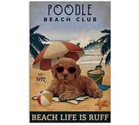 TNND Beach Club Is Ruff Poodle - Targa in metallo per bagno, decorazione vintage, 20 x 30 cm