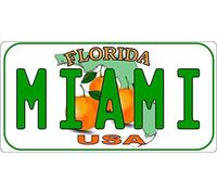 TNND Miami Florida, Targa in Metallo Personalizzata per Targa, 15,2 x 30,5 cm