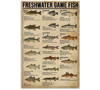 TNND Poster di pesce di gioco d'acqua dolce Alcuni dei pesci popolari per la cucina, regalo per bambini, decorazione da parete, poster in metallo, 20,3 x 30,5 cm