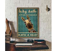 TNND - Poster "Why Hello Sweet Cheeks Have A Seat" con asino e scritta "Donkey Donkey", decorazione da parete per bagno, ottima idea regalo, in metallo, 20 x 30 cm