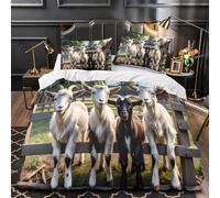 TNSGHAVED Mani dell'orrore copripiumino Set di biancheria da letto 3 pezzi microfibra stampa di 3D con federa con cerniera Zombie inquietante Set Di Copripiumino for coppie e adulti King（220x240cm）