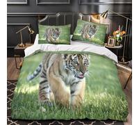 TNSGHAVED Mappa del mondo d'epoca Set Di Copripiumino 3 Pezzi morbida microfibra stampa di 3D con federa incluso federe Cartografia storica copripiumino for ragazze e adulti Super king（260x220cm）