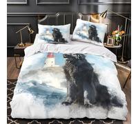 TNSGHAVED Nave pirata Set Di Copripiumino Set di 3 Pezzi microfibra stampa di 3D con cerniera incluso federe Avventura nautica copripiumino for coppie e adulti Super king（260x220cm）