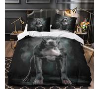 TNSGHAVED Navi pirata Set Di Copripiumino Set di 3 Pezzi microfibra stampa 3D con federe per cuscini con cerniera disegno di motivi nautici copripiumino for adulti e bambini Double（200x200cm）