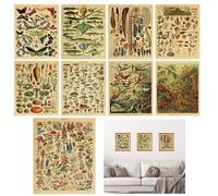 TNSLAND 9 poster botanico vintage con farfalle, poster a forma di fiori, pacchetto di identificazione per casa, soggiorno, camera da letto, decorazione da parete, senza cornice, 20 x 25 cm