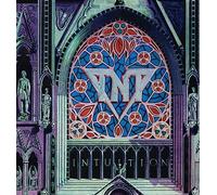 Tnt - Intuition