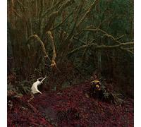 TO LIVE IS TO DIE,TO DIE IS TO LIVE (初回限定盤)(DVD付)