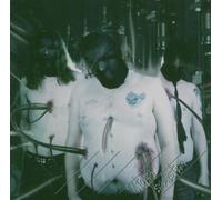 To Separate the Flesh from the Bones - Utopia Sadistica
