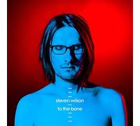 Steven Wilson To The Bone (2xLP Vinile)