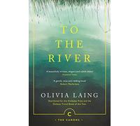 To the River: A Journey Beneath the Surface (Canons) by Laing, Olivia