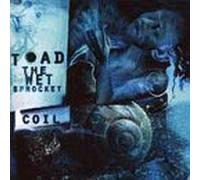 Toad the Wet Sprocket - Coil