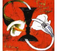 Toad The Wet Sprocket - Dulcinea Bonus Track