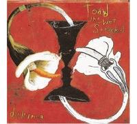 Toad the Wet Sprocket - Dulcinea (Windows)