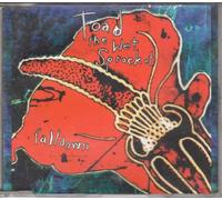 Toad the Wet Sprocket - Fall Down By Toad the Wet Sprocket (1994-10-03)