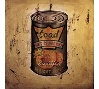 Toad The Wet Sprocket IN LIGHT SYRUP (CD)