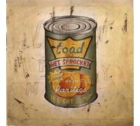 Toad the wet Sprocket - In light syrup