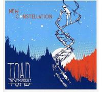 Toad The Wet Sprocket - New Constellation
