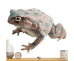 Toad Toy Figure - Realistic Frog Figurines, Cute Mini Animal Statue Model Educational Reptile Toy for Kids Learning | Classroom Decor, Children Room Collectible Wildlife Display Toys Use