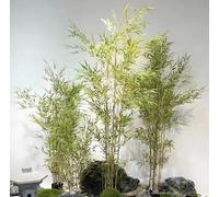 ToayNia Pianta di bambù Finto, Albero di bambù Finto Artificiale, con Foglie di Gomma simulata, bambù Artificiale da Paesaggio, per Interni ed Esterni, Alberi per la Privacy 2m/6.56ft