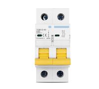 TOB1Z-63 2P DC 600V Interruttore automatico MCB C Curva Fusibile unipolare a corrente continua for copertura strega fotovoltaica(2P 10A)