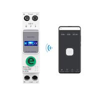 TOB9e-63M 110V 220V Smart Meter Metering Monitoring Circuit Breaker Timer Relay Smart Home 63A EKFBQBGW
