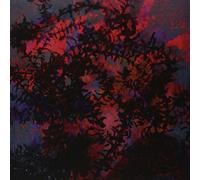 Tobar, Ricardo - If I Love You