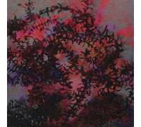 TOBAR, RICARDO - IF I LOVE YOU