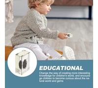 TOBBOMEY Campione di insetto in resina gambe rosse ornamento da tavolo in resina fossile esemplare biologico per educazione scientifica e creazioni artistiche